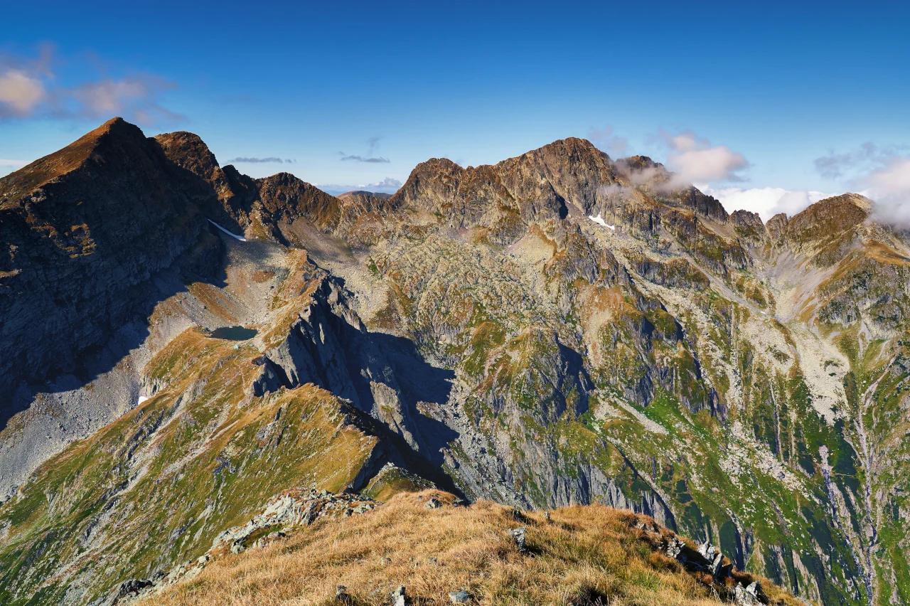 Mobile header background