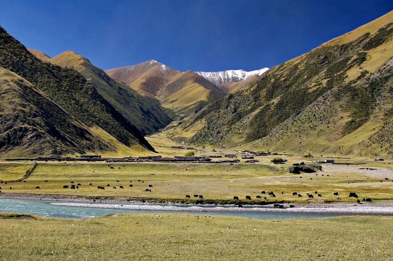 Mobile header background