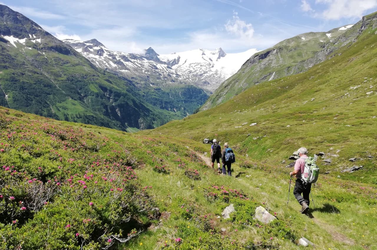 Mobile header background