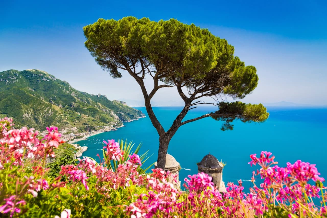 Mobile header background