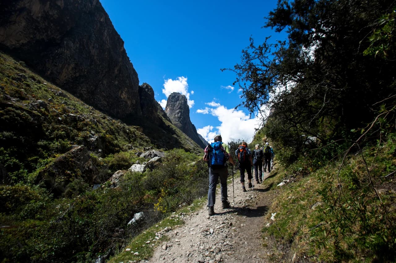 Mobile header background