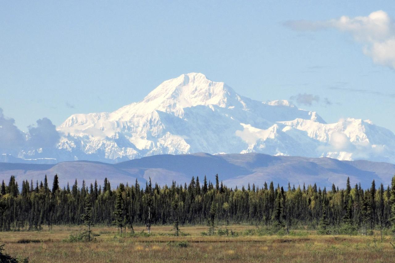 Mobile header background