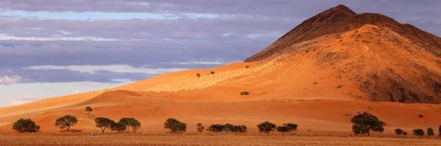 Ein Berg aus orange scheinendem Sand. Davor ein paar Bäume und eine Oryxantilope.