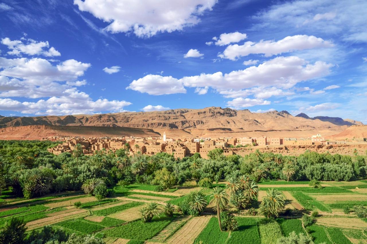 Mobile header background