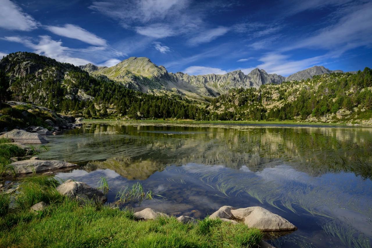 Mobile header background