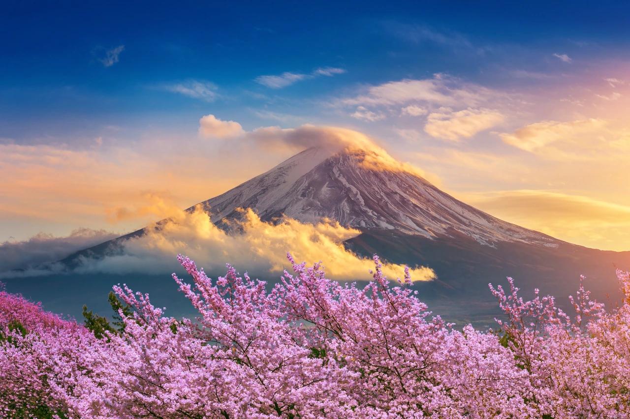 Mobile header background