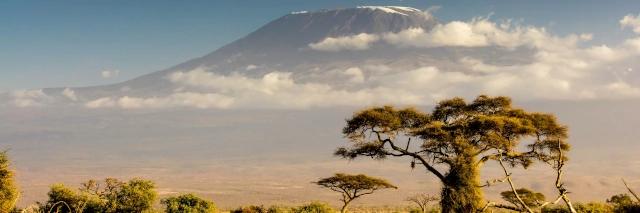Blick auf den Kilimanjaro von der Savanne aus. Vor dem Berg sind Wolken und ein Elefantenbaum zu sehen.