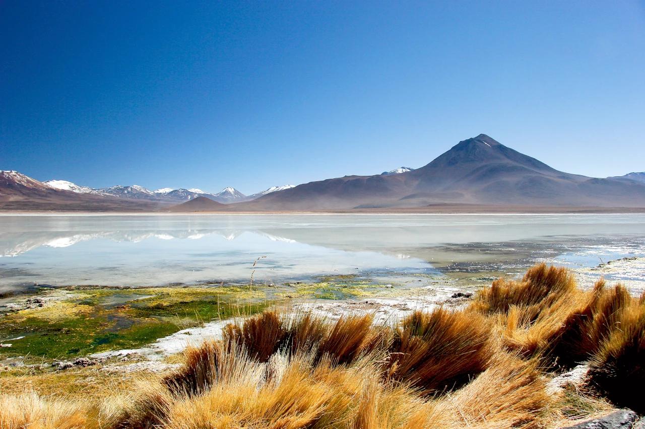 Mobile header background