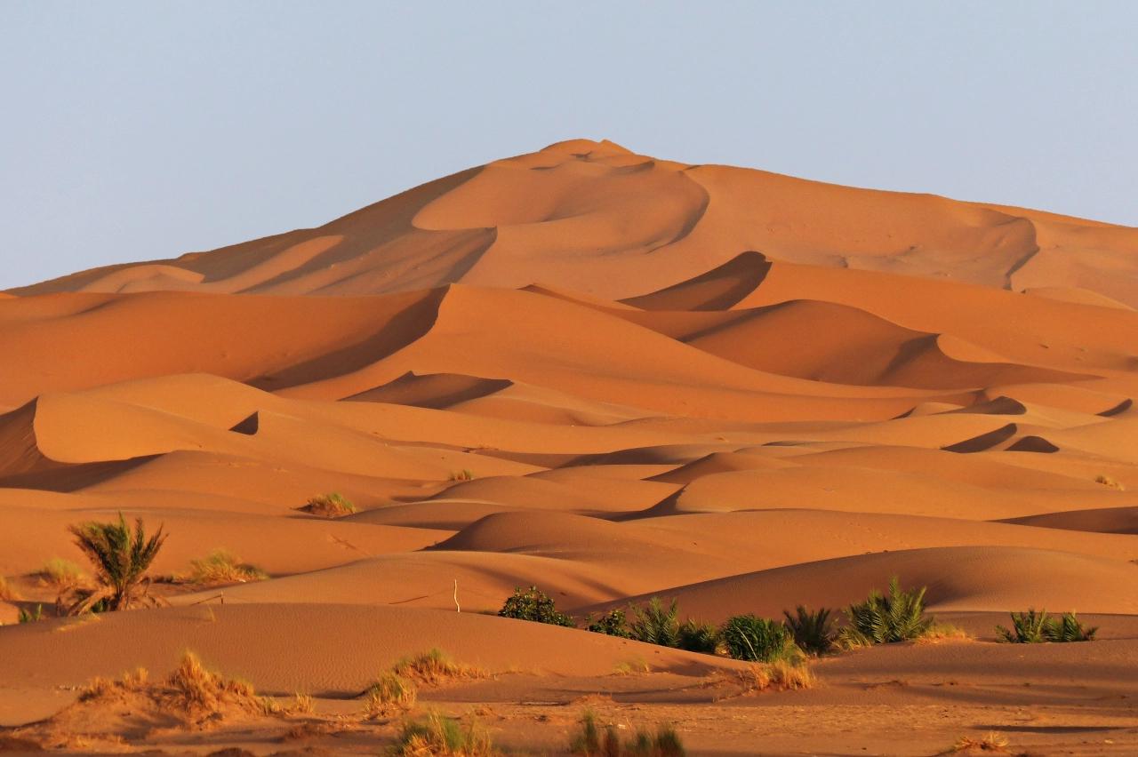 Mobile header background