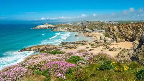 Panoramablick auf die Küstenlinie mit blühenden Pflanzen, Sandstrand und azurblauem Meer.