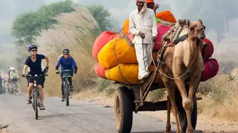 Radfahrer auf einer Reise begegnen einem Kamelkarren, der mit bunten Säcken beladen ist.