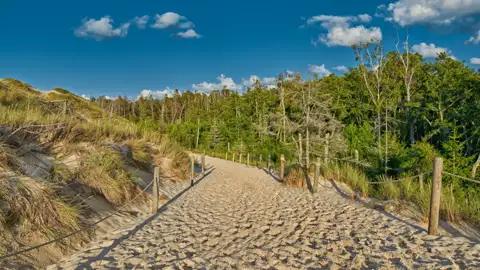 Abgesicherter Weg durch die Dünenlandschaft.