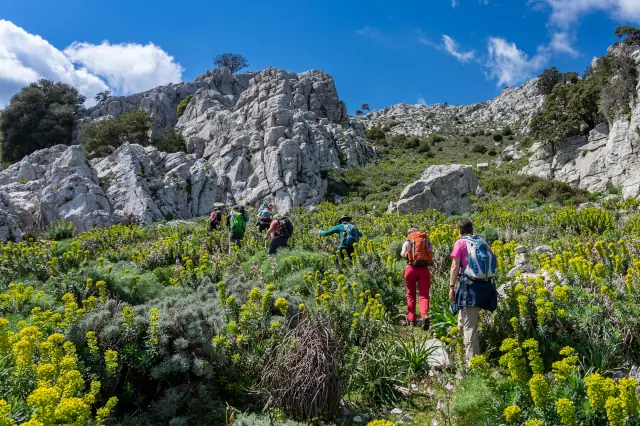 Eine Gruppe von sieben Wanderern steigt einen steilen grünen, mit Busch bewachsenen Hang hinauf. Weiter oben sind graue Felsen zu sehen. 