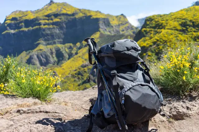 Schwarzer Wanderrucksack mit Wanderstöcke steht vor Gebirgskulisse mit gelben Blumen