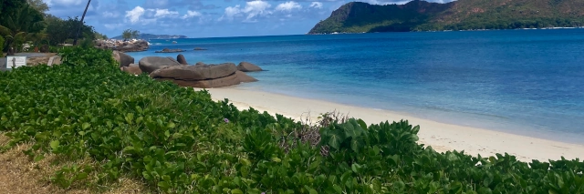 Grün bewachsener Strandabschnitt mit weißem Sand, blauen Meer und grauen Felsen