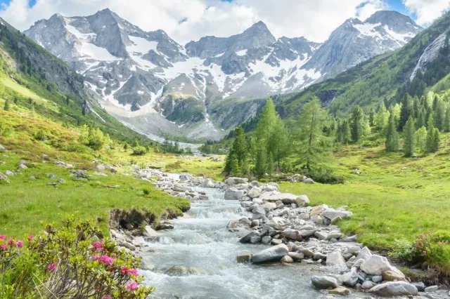 Blick auf einen kleinen Bach auf einer grünen Wiese durch ein alpines Tal. Im Hintergrund sind hohe Berge zu sehen. 