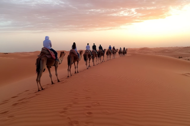 Mehrere Personen reiten auf Kamelen hintereinander in der Sonnenuntergang auf einer Sanddüne