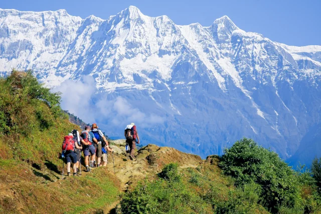 Eine Gruppe Wanderer geht auf einem grünem Berg. Im Hintergrund ist eine schneebedeckte Berglandschaft. 