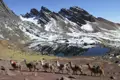 Packlamas auf einer Trekkingtour in den Anden. Die Lamas tragen Gepäck und wandern an einem Bergsee entlang, umgeben von schneebedeckten Gipfeln.