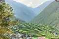Grüne Reisterrassen erstrecken sich an einem Berghang und führen hinunter zu einem Dorf mit bunten Dächern.