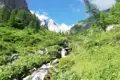 Gebirgsbach und üppige Vegetation in den Alpen.
