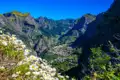 Talblick auf Madeira mit Bergen und Wildblumen.