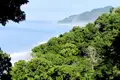 Panoramablick auf die Küste und den dichten tropischen Regenwald.
