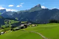 Alpenlandschaft mit Dorf und Bergkulisse
