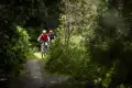Zwei Mountainbiker auf einem Waldweg.
