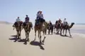 Reisende auf einem Kamelritt am Strand.
