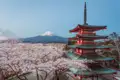 Japanische Pagode mit Kirschblüten und Blick auf den Berg Fuji.