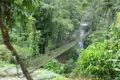 Hängebrücke über einem Wasserfall im Regenwald.