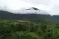 Grüne Landschaft mit bewaldeten Hügeln und Bergen im Hintergrund, teilweise von Wolken bedeckt.