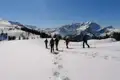 Gruppe beim Schneeschuhwandern in den Bergen.