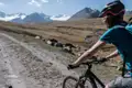 Mountainbiker auf einem Bergpfad mit schneebedeckten Gipfeln im Hintergrund.