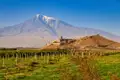 Panoramablick auf das Khor Virap Kloster in Armenien mit dem Berg Ararat im Hintergrund und einem Weinberg im Vordergrund.