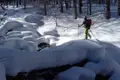 Skitourengeherin mit Rucksack und Stöcken im verschneiten Wald.