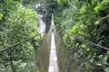 Überquerung einer Hängebrücke im dichten Regenwald mit einem Wasserfall im Hintergrund.