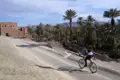 Radfahrer auf einer Reise durch eine Oase mit Dattelpalmen und historischen Ruinen.