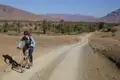 Mountainbiker auf einer Schotterpiste in einer Wüstenoase mit Palmen und Bergen im Hintergrund.