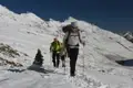 Wanderer auf einem verschneiten Bergpfad mit Wanderstöcken und Rucksäcken in den Bergen.