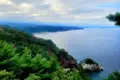 Panoramablick auf die bewaldete Küste mit felsigen Buchten und einem kleinen Hafen im Hintergrund.
