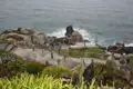 Das Minack Theatre, in die Klippen gehauen, mit Blick auf das Meer.