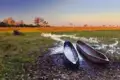 Zwei Einbäume, bereit für eine Flussfahrt im Okavango Delta.