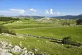 Grüne Hügellandschaft mit Steinmauern und Blick auf die Berge.