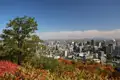 Herbstliche Aussicht auf die Stadt Montreal.