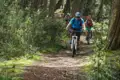 Mountainbiker auf einem Waldweg.