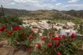 Blick auf ein weißes Dorf inmitten einer hügeligen Landschaft, eingerahmt von blühenden roten Rosen.