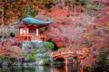 Traditioneller japanischer Tempel und rote Brücke inmitten leuchtender Herbstbäume.