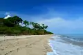 Sandstrand mit tropischer Vegetation und blauem Himmel.